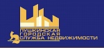 Пушкинская городская служба недвижимости