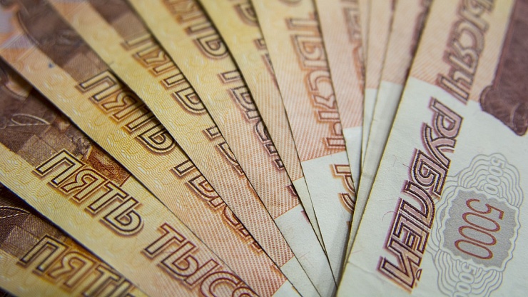 Российские семьи использовали порядка 291 млрд рублей материнского капитала